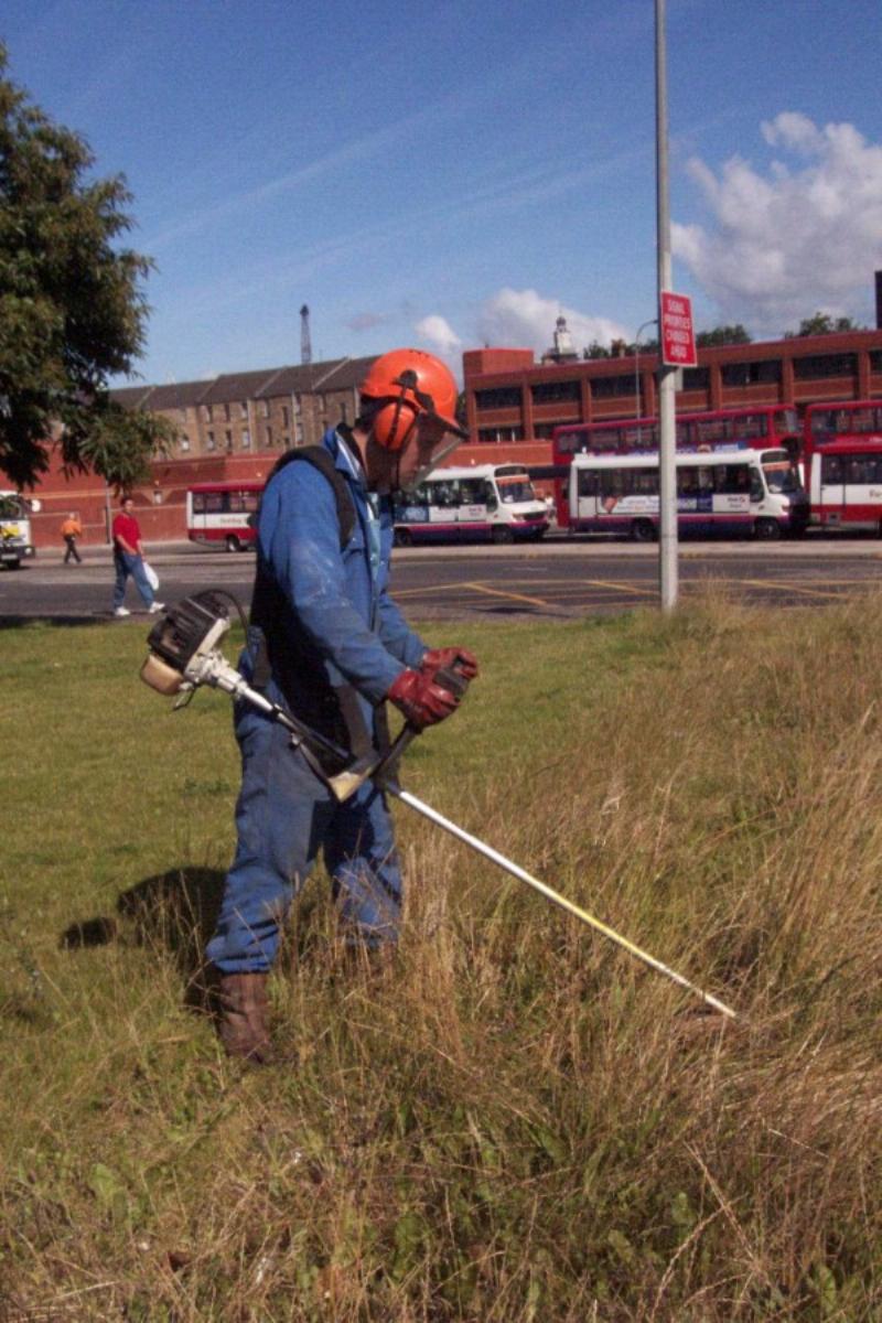 Brushcutter/Strimmer