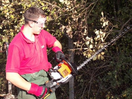 Hedge Trimmer