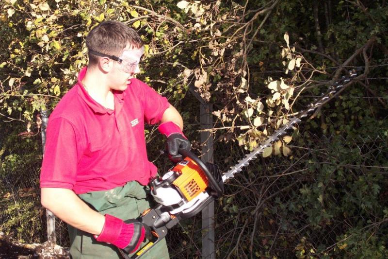 Hedge Trimmer