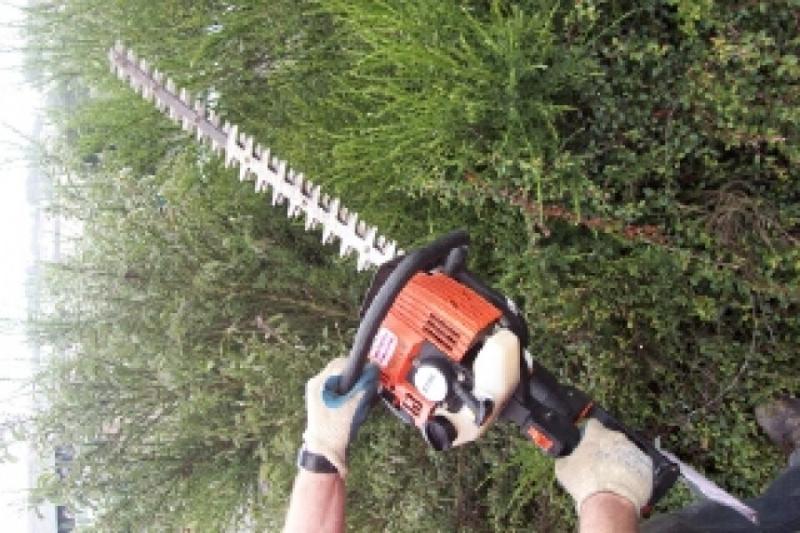 Hedge Trimmer