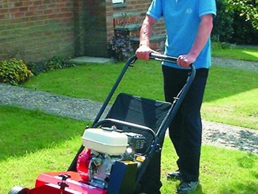 Lawn Rake/Scarifier