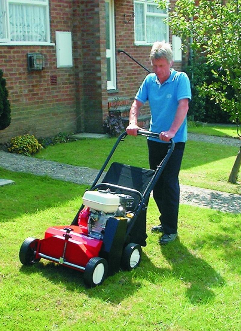 Lawn Rake/Scarifier