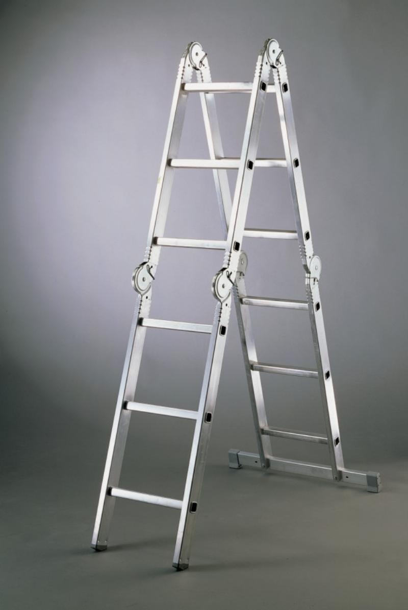 Multi-Position Ladder